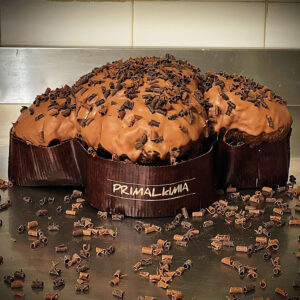 Colomba Artigianale al Cioccolato